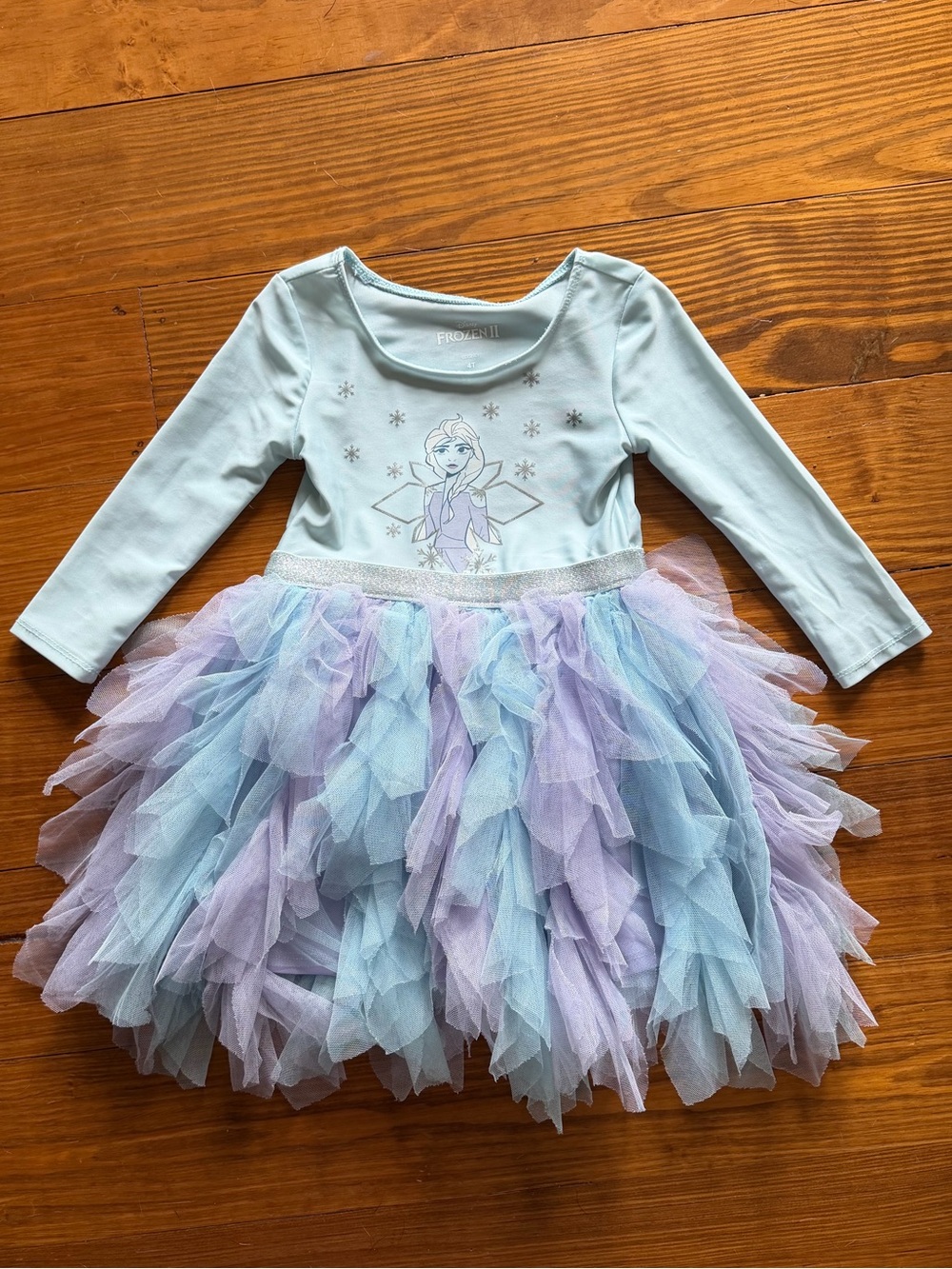 Disney’s Elsa Leotard Tulle Dress : 4T
